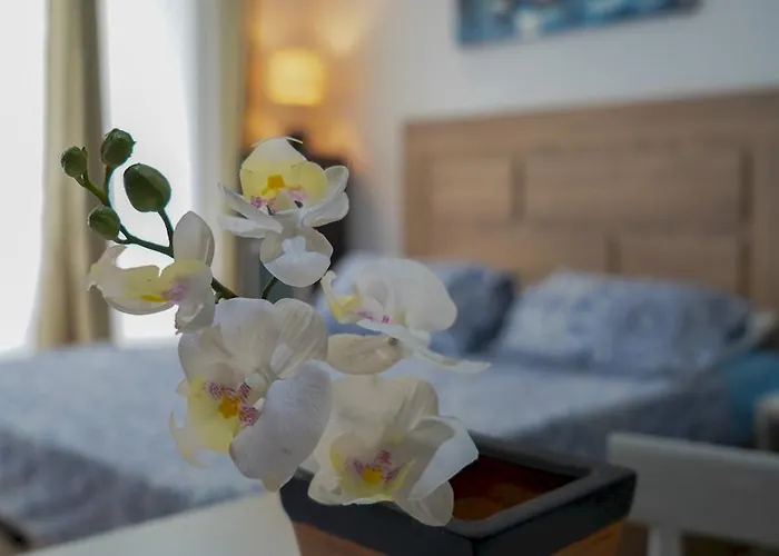 402 Apartamento Nuevo Con Vista Mar